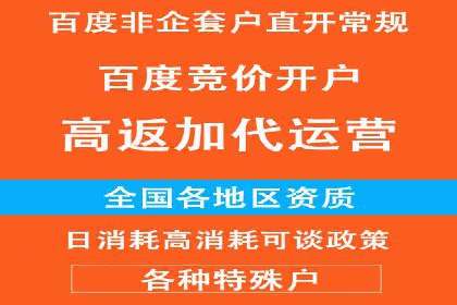 顶级SEM服务公司案例解析